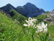 PASSO-LAGO-RIF. BRANCHINO con ANTICIMA sud Corno Branchino (1917 m)-23giu25- FOTOGALLERY
